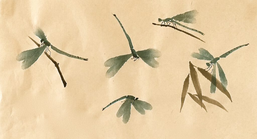 belula dorfly sumi-e